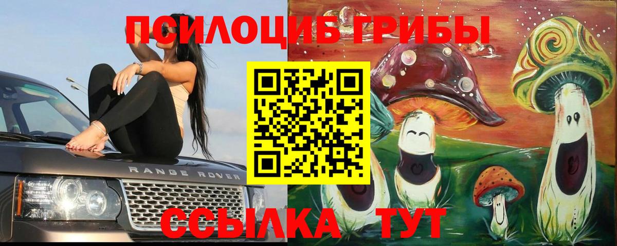 Владикавказ  где купить наркотик  Галлюциногенные грибы прущие грибы  Вход с VPN  Псилоцибиновые грибы Psilocybine cubensis 